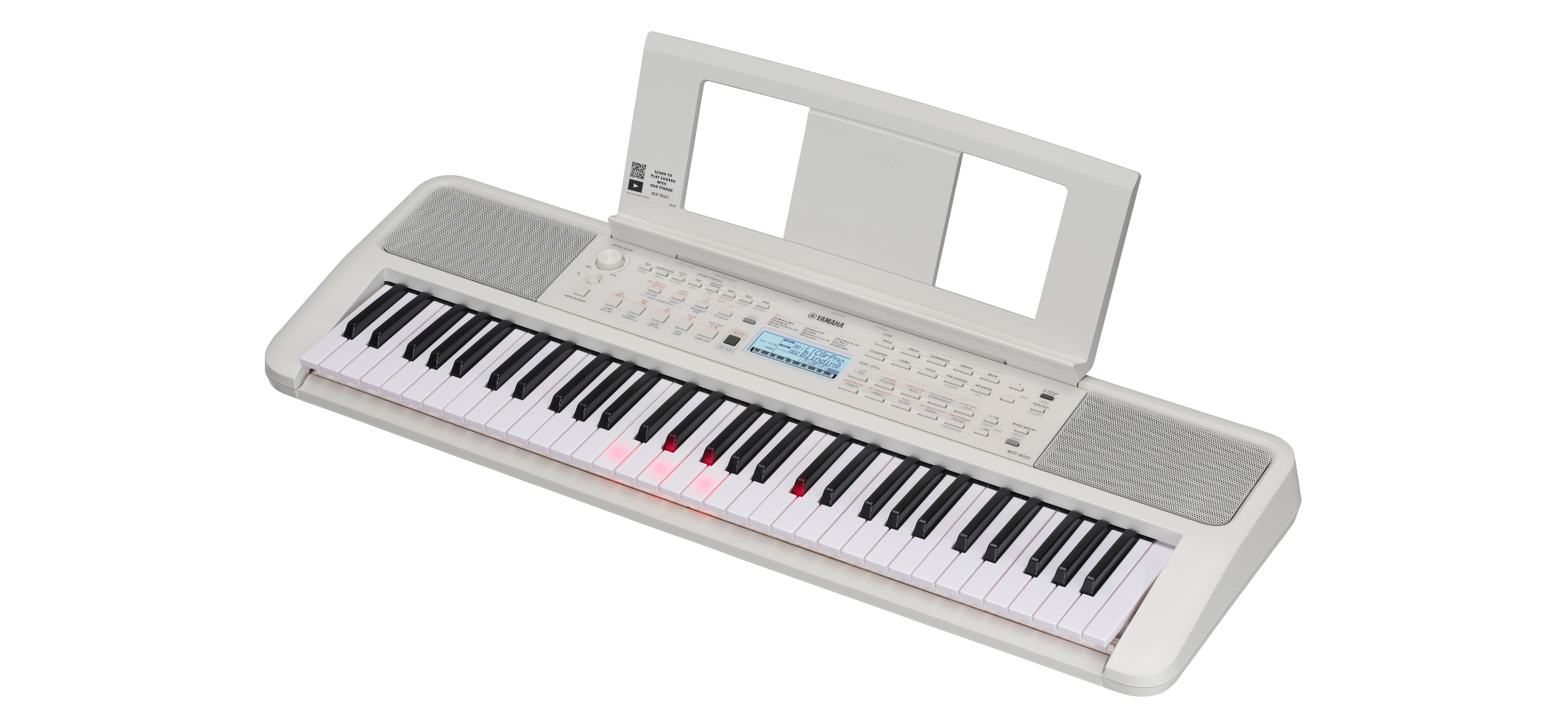 EZ-310