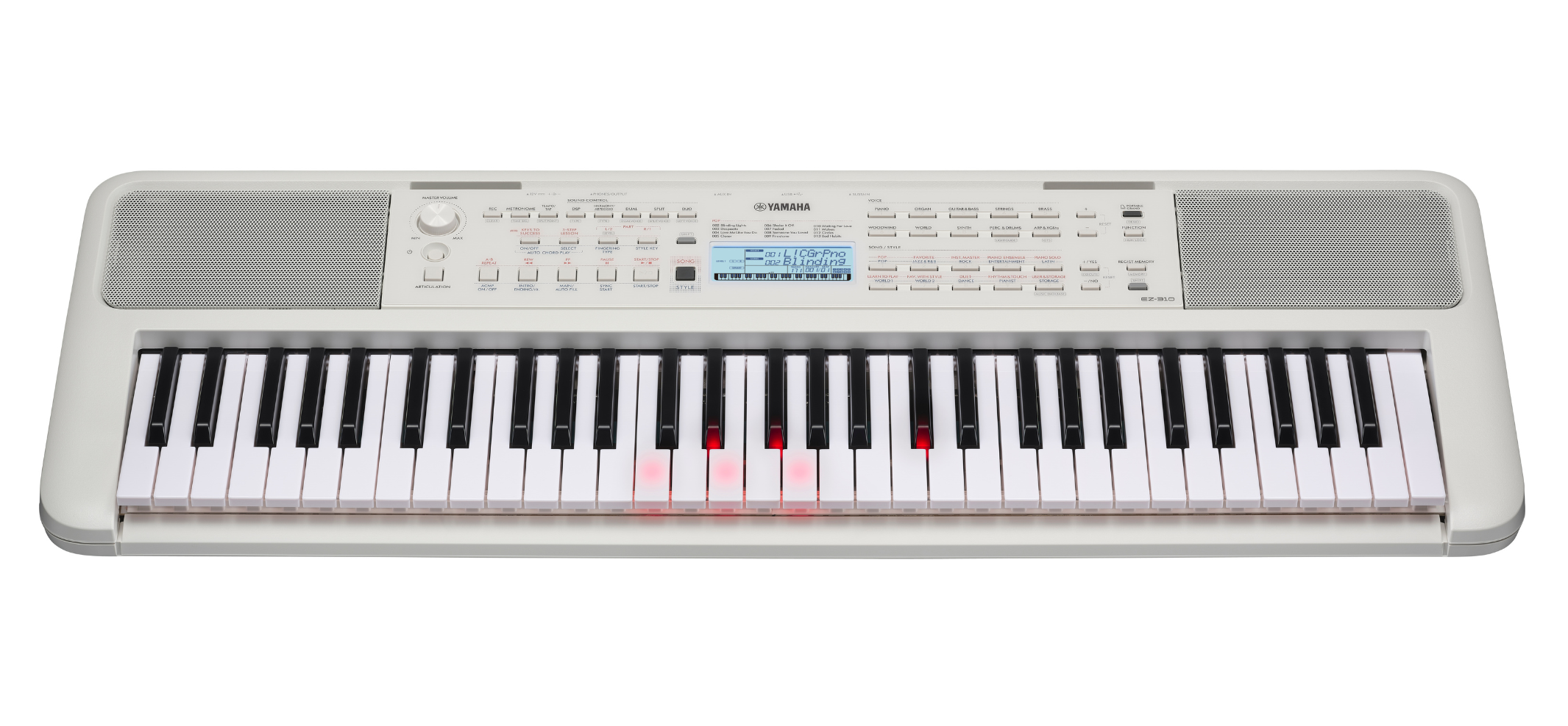 EZ-310