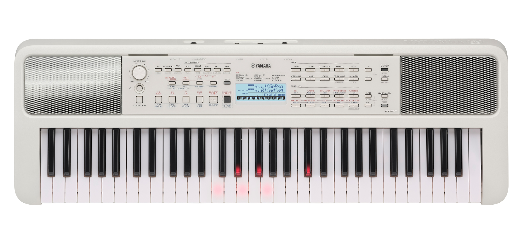 EZ-310