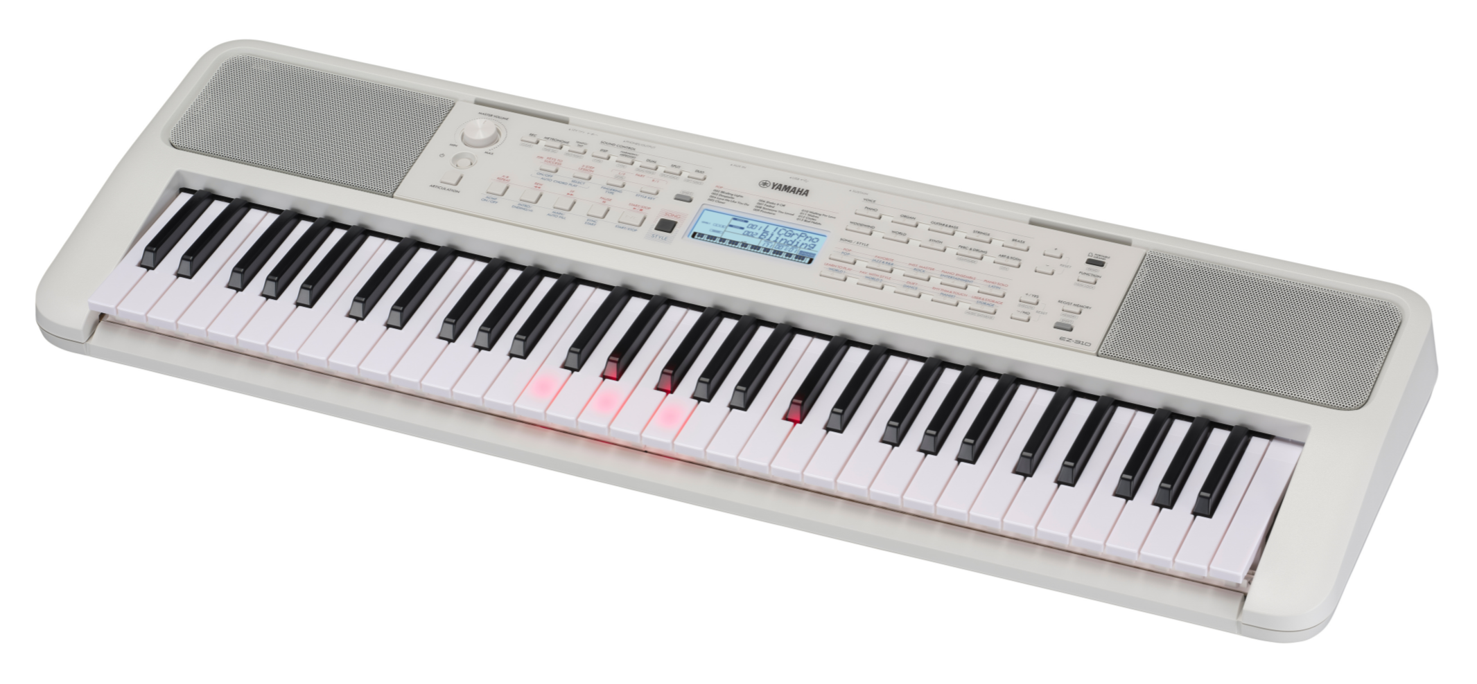 EZ-310