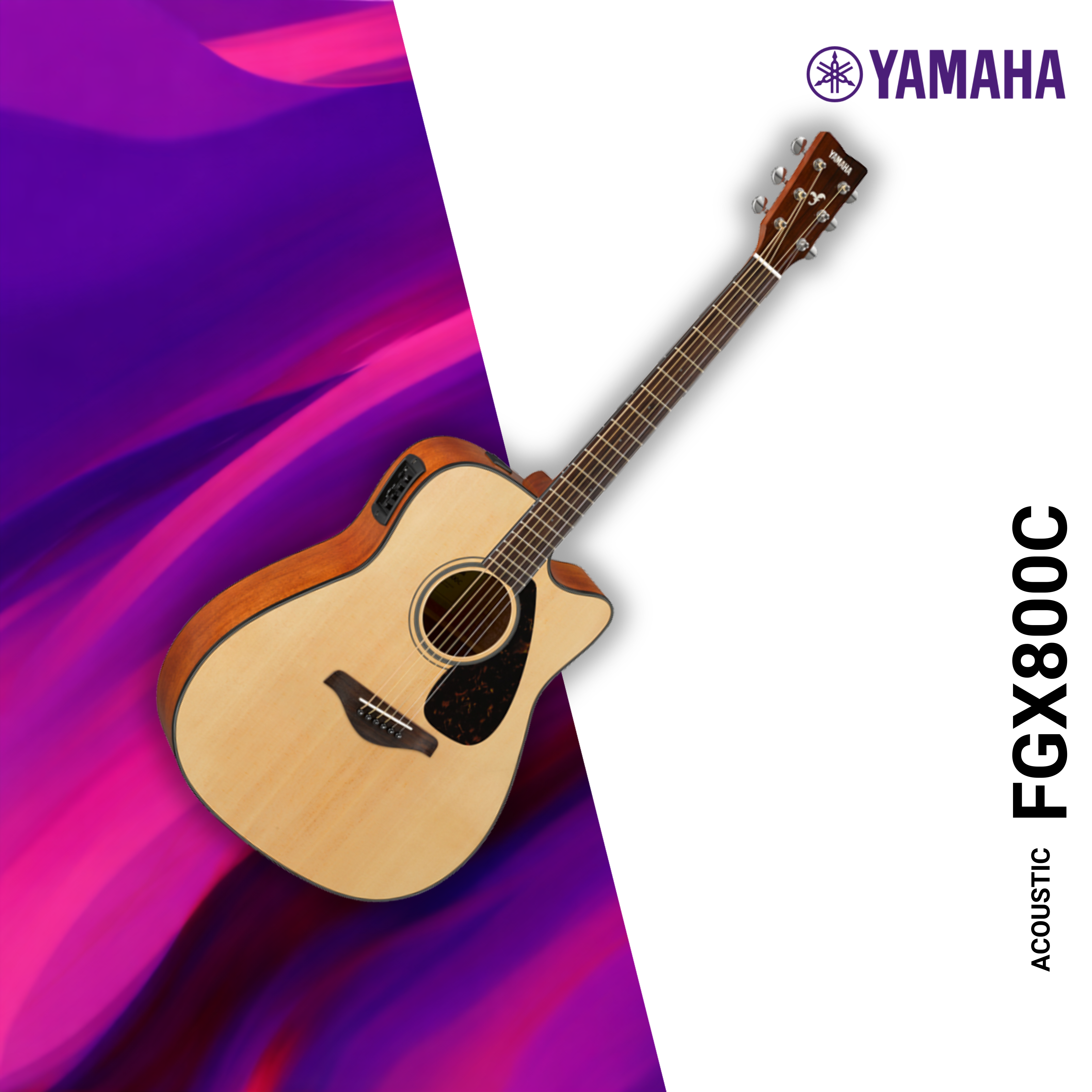 ACOUSTIC  FGX800C