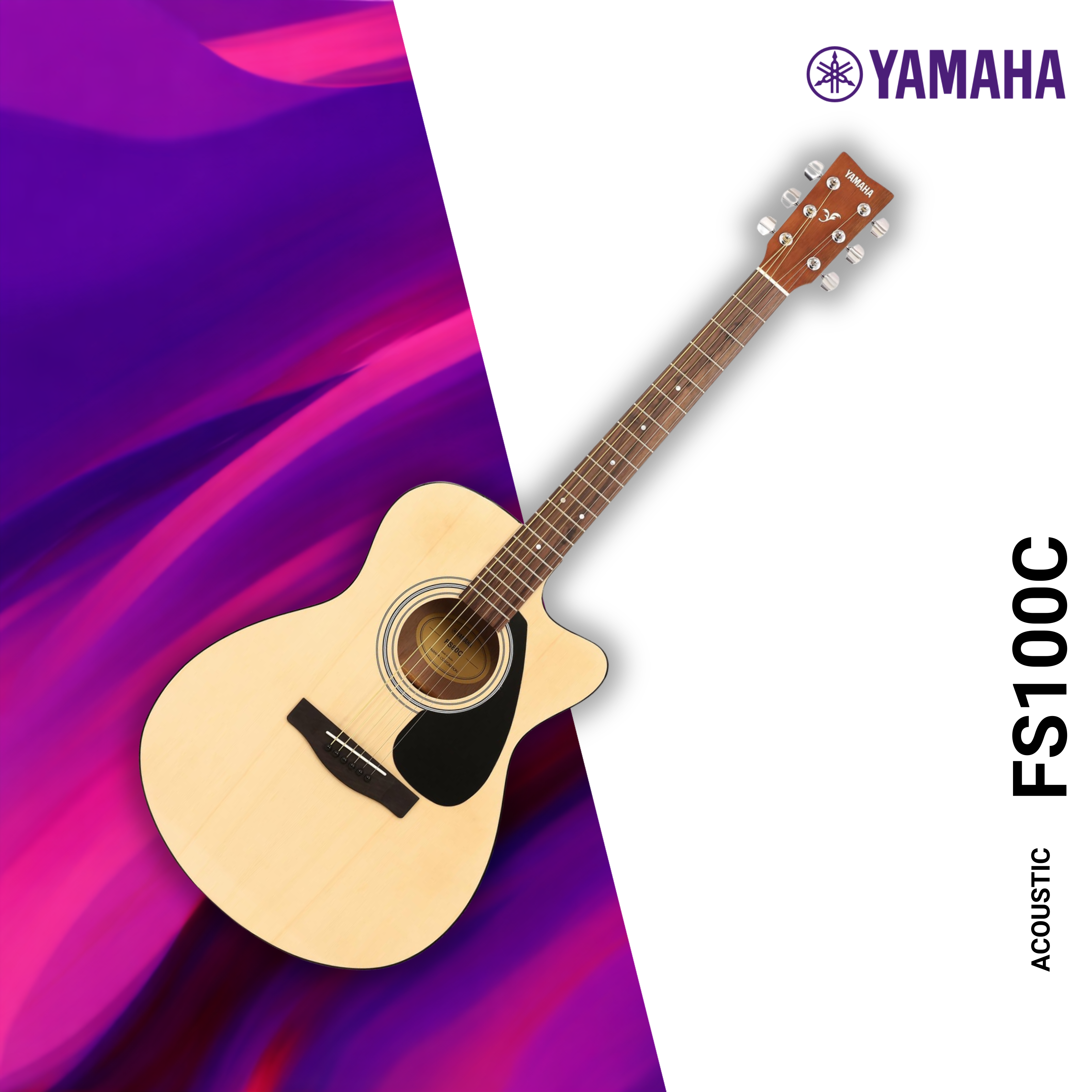 ACOUSTIC  FS100C